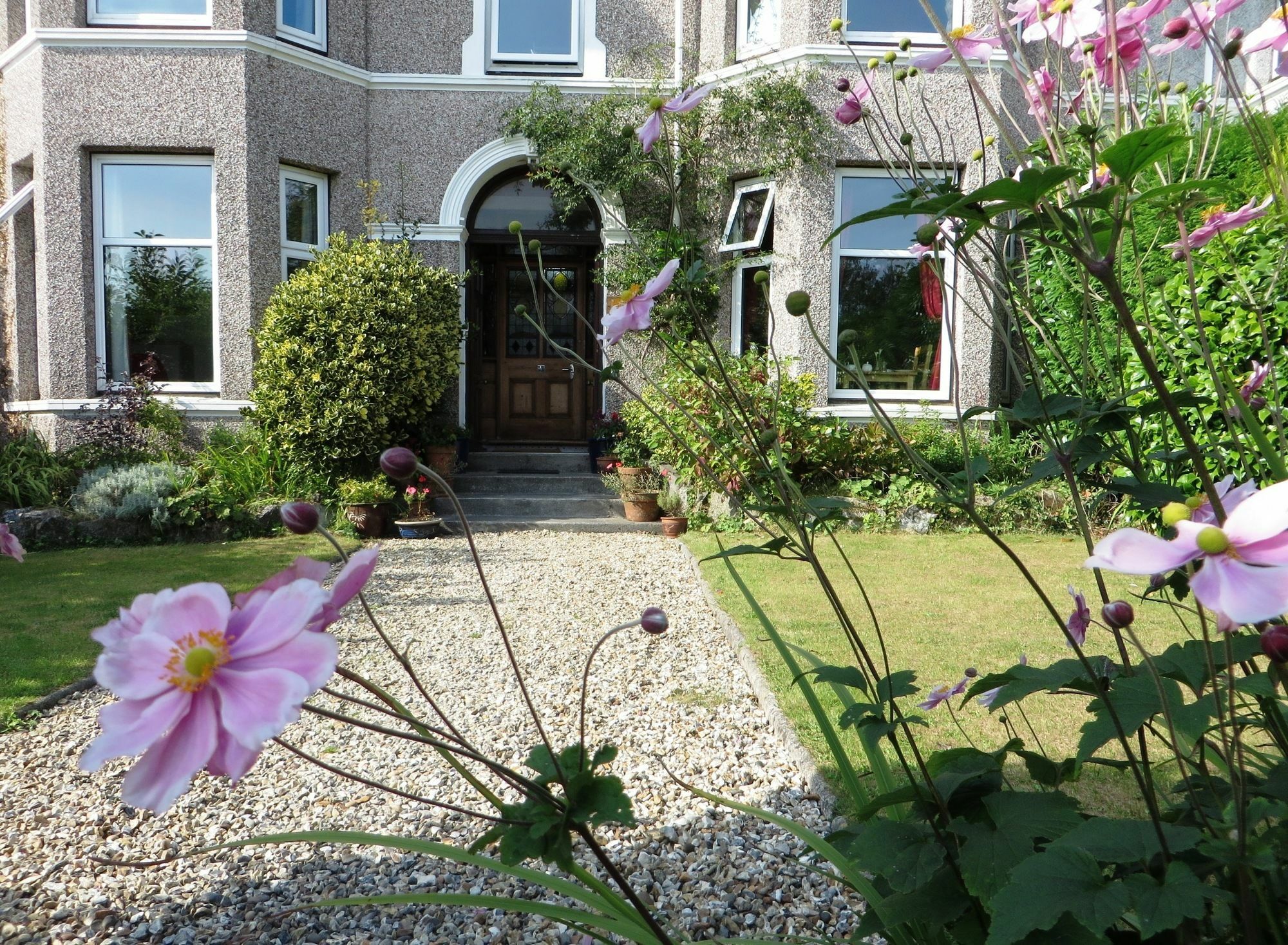 The Rosemont Hotel Yelverton Eksteriør billede